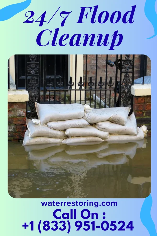 24/7 Flood Cleanup in Painter, VA