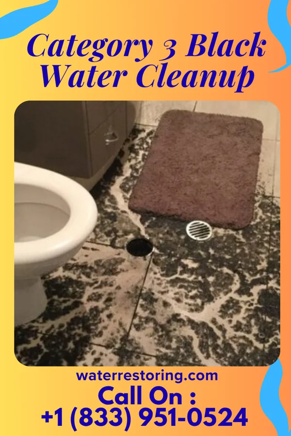 Category 3 Black Water Cleanup in Painter, VA