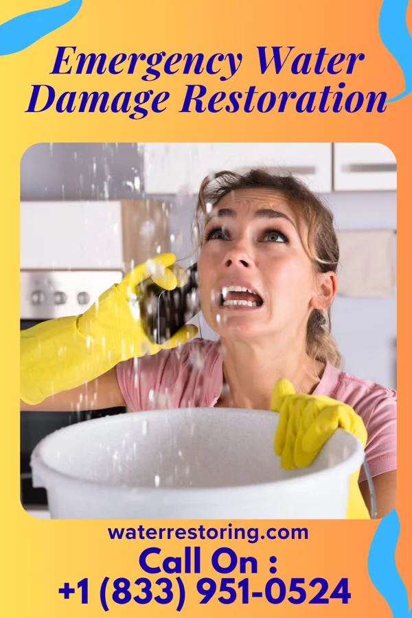 Emergency Water Damage Restoration in Painter, VA