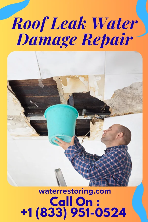 Roof Leak Water Damage Repair in Painter, VA