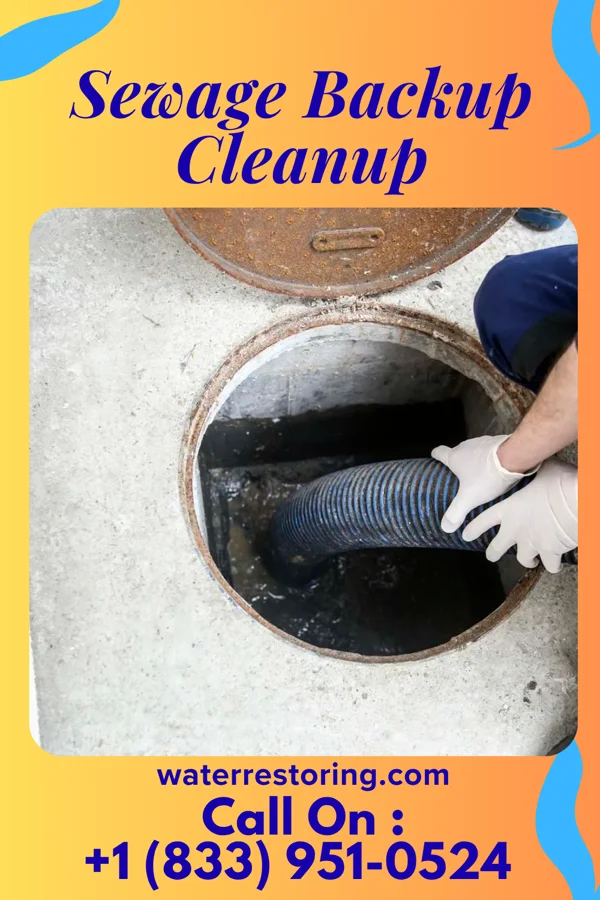 Sewage Backup Cleanup in Painter, VA
