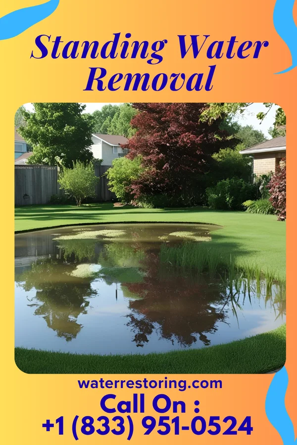 Standing Water Removal in Painter, VA